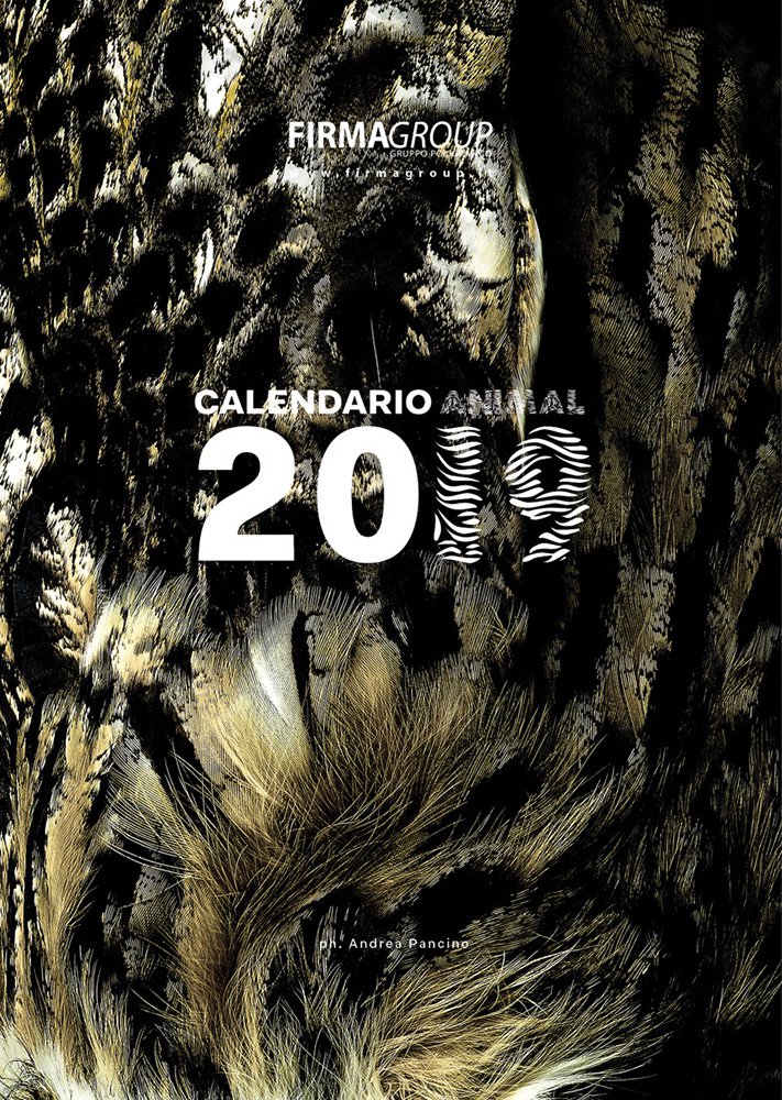 Calendario 2019